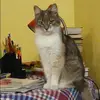 Отзыв от Вера Баранова